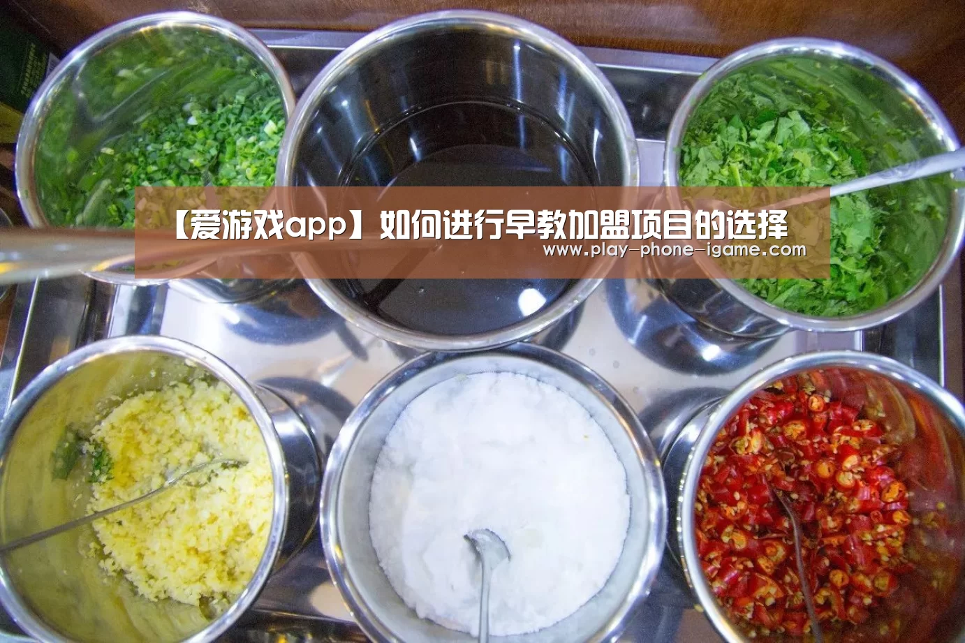 【爱游戏app】如何进行早教加盟项目的选择