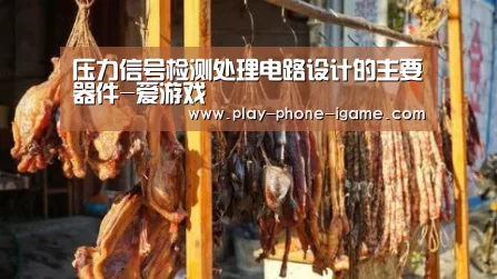 压力信号检测处理电路设计的主要器件-爱游戏