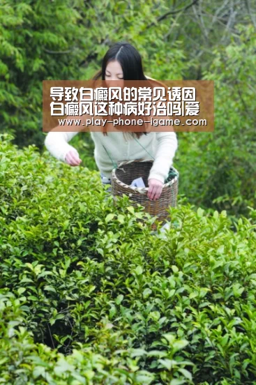 爱游戏app